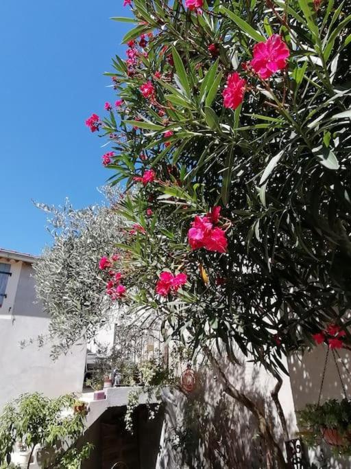 LA CHAMADE maison de village climatisée Lapalud Esterno foto