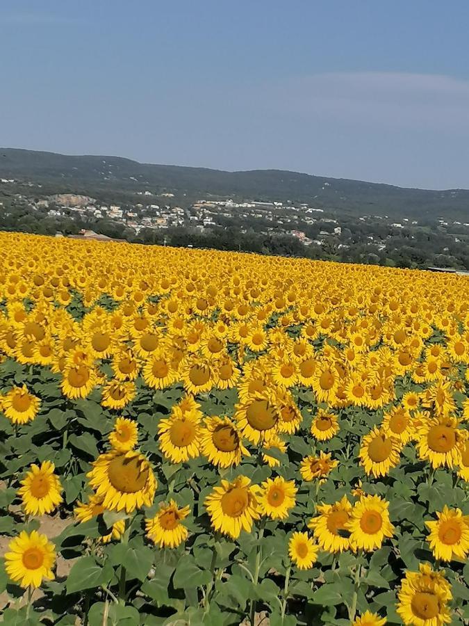 LA CHAMADE maison de village climatisée Lapalud Esterno foto
